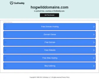 HogwildDomains.com(Cheap Domain Names Registration) Screenshot