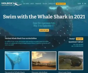 Holboxwhalesharktours.com(Swim with the whale shark for a once) Screenshot