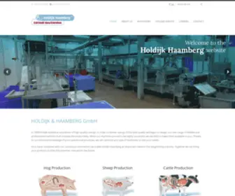 Holdijk.de(Edelstahl Machinenbau) Screenshot