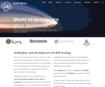 Holdingbay.co.uk(Web Development and Design for B2B) Screenshot