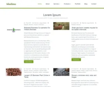 Hollandbiomass4Energysolutions.eu(Holland Biomass 4 Energy Solutions) Screenshot