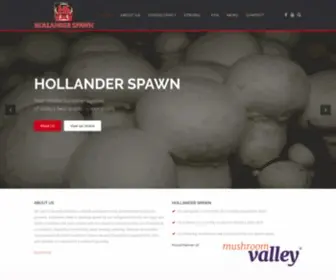 Hollanderspawn.com(Hollander Spawn) Screenshot