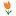Hollandforyou.com Favicon
