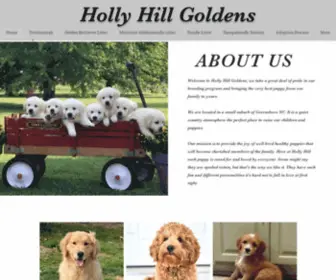 Hollyhillgoldens.com(Golden Retriever Breeder) Screenshot