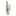 Hollyneibaur4Canyons.com Favicon