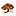 Holze.ro Favicon