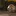 Holzuhren-Test.com Favicon