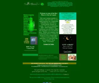 Homeandweb.com(Website-Building-Website-Marketing) Screenshot