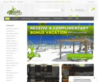 Homecricket.com(Create an Ecommerce Website and Sell Online) Screenshot