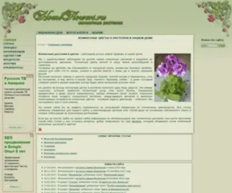 Homeflowers.ru(Комнатные) Screenshot