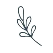 Homemadehome.com Favicon