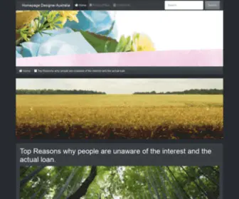 Homepage-Designer.info(Homepagevorlagen website Templates Homepage Vorlagen webtemplates Shop flash Front Page Webdesign free template flash intro Dreamweaver) Screenshot