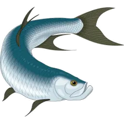 Homosassaredfishing.com Favicon