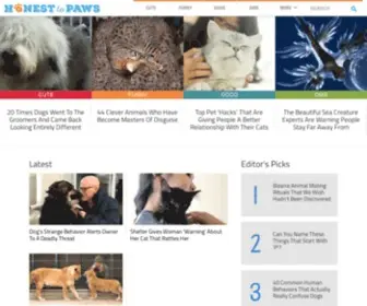 Honesttopaws.com(Honest To Paws) Screenshot