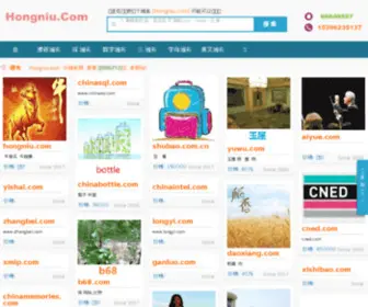 Hongniu.com(网络安全) Screenshot