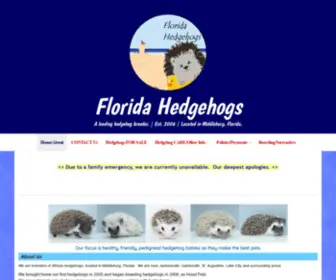 Hoodpetz.com(Florida Hedgehogs) Screenshot