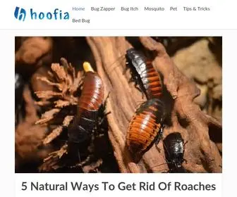 Hoofia.com(Bugs & Animals Blog) Screenshot