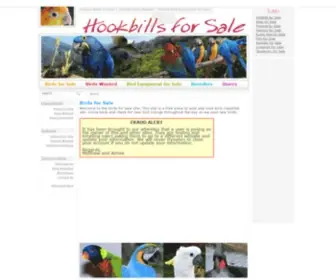 Hookbillsforsale.com(Birds For Sale) Screenshot