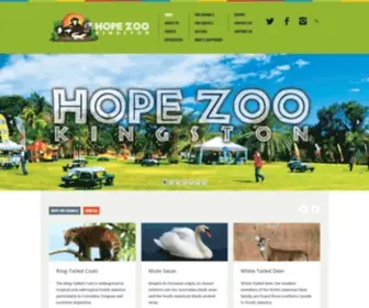 Hopezookingston.com(Hopezookingston) Screenshot