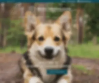 Hornbyvet.co.nz(Hornby Veterinary Centre) Screenshot