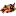 Hornofplentyinc.com Favicon
