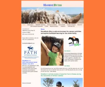 Horsebudstrc.org(Film) Screenshot