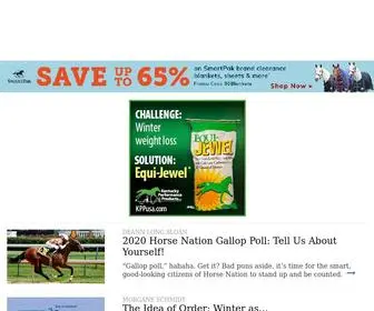 Horsenation.com(HORSE NATION) Screenshot