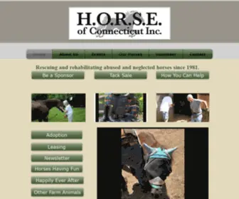 Horseofct.org(Of Connecticut) Screenshot