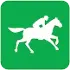 Horseracingbettingusa.com Favicon