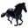 Horseriders.com Favicon