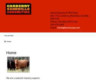 Horsescoops.com(Media services in Canada for equine & ranching groups) Screenshot