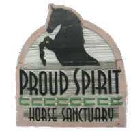 Horsesofproudspirit.com Favicon