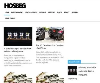 Hosbeg.com(The Information and Entertainment Hub) Screenshot