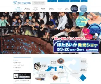 Hotaruikamuseum.com(道の駅) Screenshot
