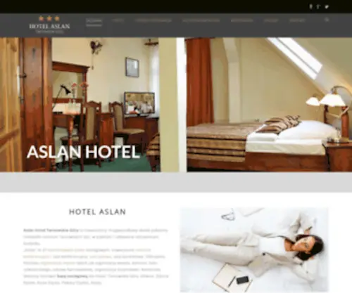 Hotel-Aslan.pl(Hotel Restauracja Aslan) Screenshot