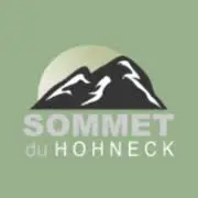 Hotel-Hohneck.com Logo