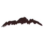 Hotel-Zwiesel.de Favicon