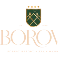 Hotelborovi.com Logo