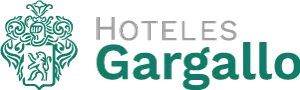 Hotelcasanovahuesca.com Favicon