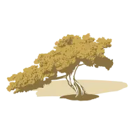 Hotelnibaru.it Favicon