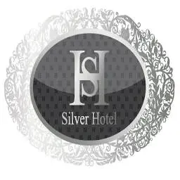 Hotelsilver.ge Favicon