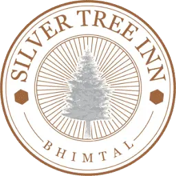 Hotelsilvertree.com Favicon