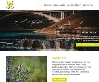 Hotfootasia.com(Hot Foot Asia) Screenshot