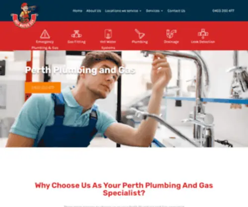Hotwaterguy.com.au(The Hot Water Guy) Screenshot