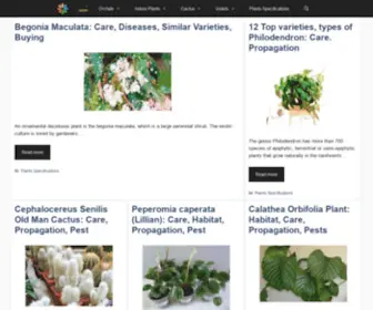 Houseplantspro.com(Houseplantspro) Screenshot