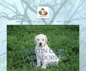 Houstonakclabradorpuppies.com(Martin Labradors of Houston) Screenshot