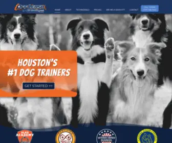 HoustontXdogtrainers.com(Off leash k9 training of houston tx) Screenshot