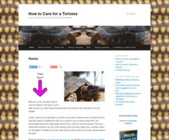 Howtocareforatortoise.com(How to Care for a Tortoise) Screenshot