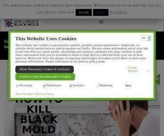 Howtoremoveblackmold.com(Your #1 Black Mold Removal Resource) Screenshot