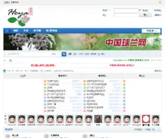 Hoyabbs.com(球兰网) Screenshot